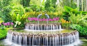 Giardini botanici di Singapore