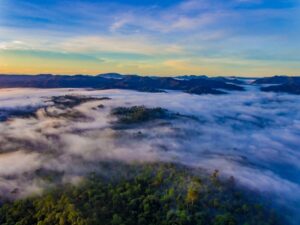 La riserva naturale del Danum Valley
