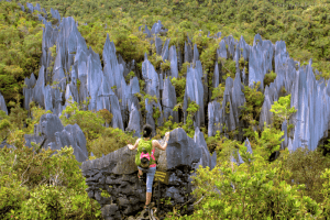 Il parco nazionale di Mulu