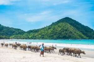 Spiaggia di Selong belanak