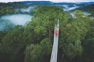Parco nazionale Ulu Temburong