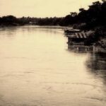 Vaccinazioni per la Malesia e il Borneo